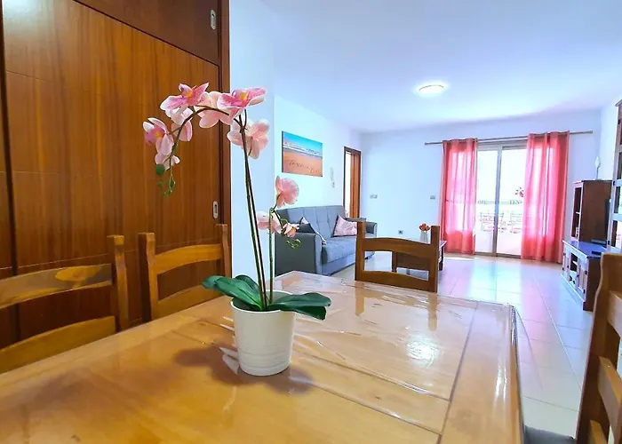 Paradise * Alcalá la Real